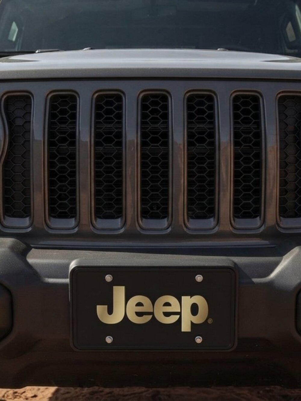 Jeep Logo Lazer-Tag Acrylic License Plate (Gold on Black) - Picture 2 of 3